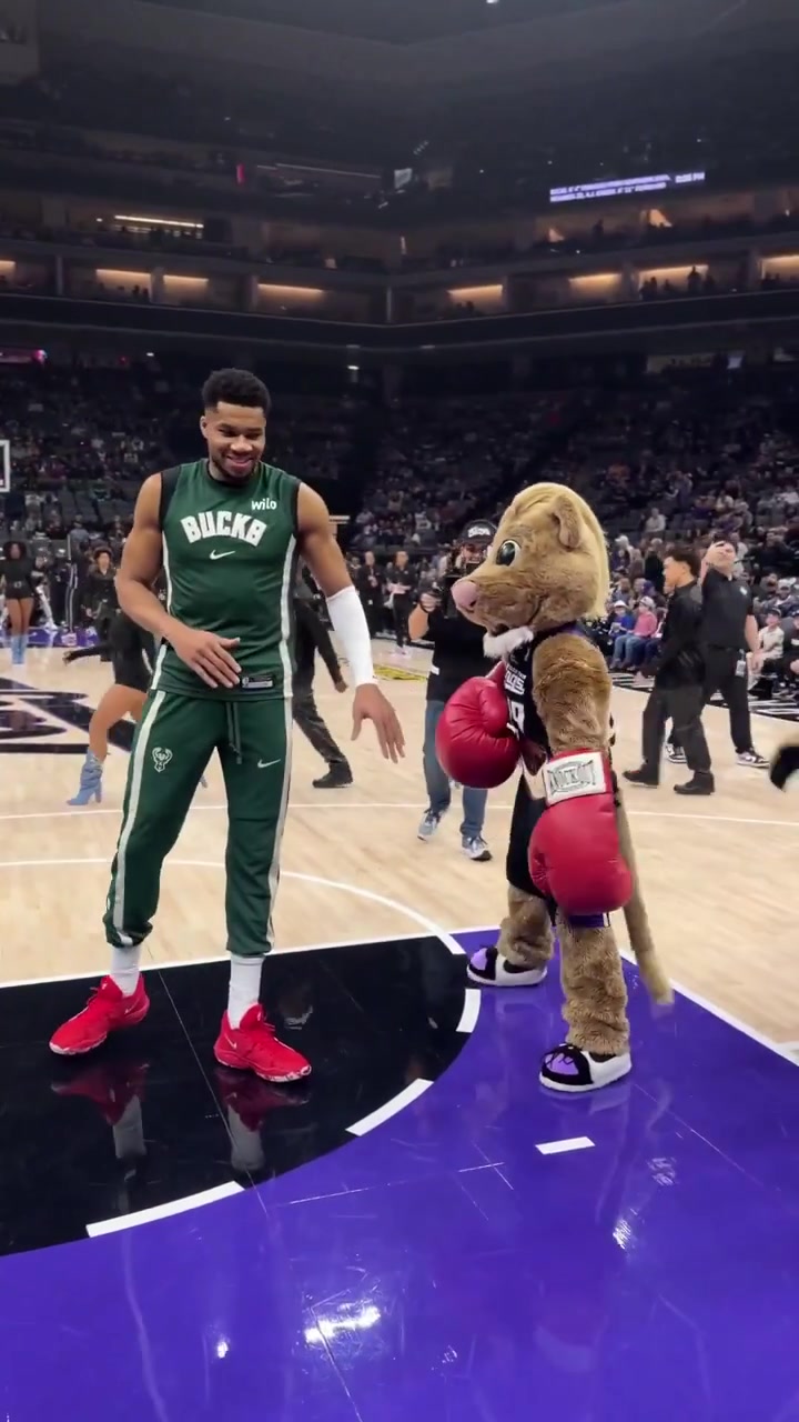 Brutal fight between Giannis and the Kings mascot before the game