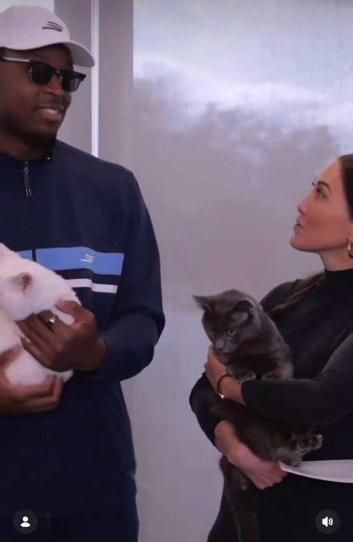 OG Anunoby Wow I love cats